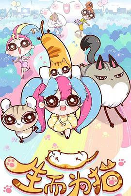 SEO优化比选云尚网络